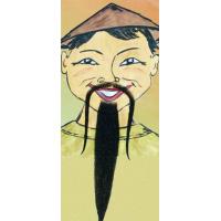 Chinees baard de luxe Zwart
