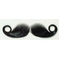 Krulsnor klein zwart