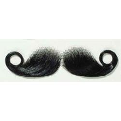 Krulsnor klein zwart