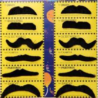 Snor kaart 12 stuks Zwart