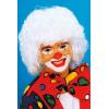 Clown wit