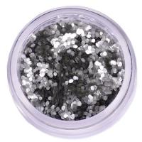 Bio cosmetic glitter zilver L071 (5ml)