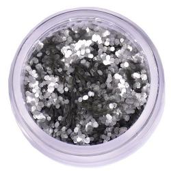 Bio cosmetic glitter zilver L071 (5ml)