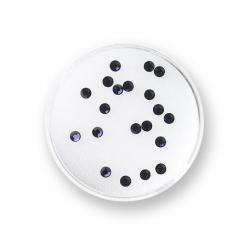 Purple Velvet 2,8-3,0mm